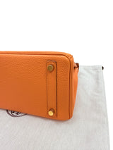 Hermes Birkin 25 Orange Togo Leather with Gold Hardware Handbag