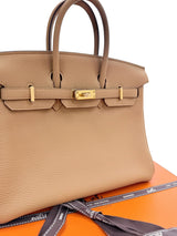 Hermes Birkin 25 Biscuit Togo Leather With Gold Hardware Handbag
