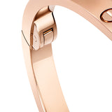 Cartier Love Bracelet Small Model 18K Rose Gold With Functional Screw and Hinge
