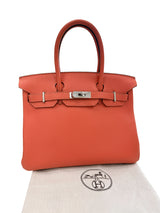 Hermes Birkin 30 Capucine Togo Leather with Palladium Hardware Handbag