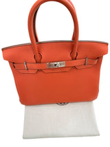 Hermes Birkin 30 Capucine Togo Leather with Palladium Hardware Handbag