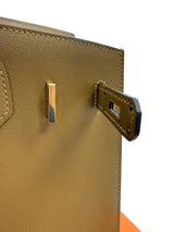 Hermes Birkin 30 Sellier Bronze Dore Veau Madame Leather With Gold Hardware