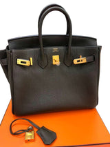 Hermès Birkin 25 Vert De Gris Togo Leather With Gold Hardware Handbag