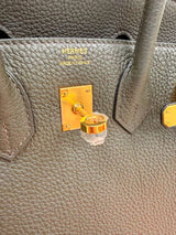 Hermès Birkin 25 Vert De Gris Togo Leather With Gold Hardware Handbag