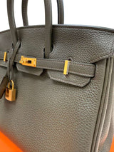 Hermès Birkin 25 Vert De Gris Togo Leather With Gold Hardware Handbag