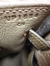 Hermès Birkin 25 Vert De Gris Togo Leather With Gold Hardware Handbag