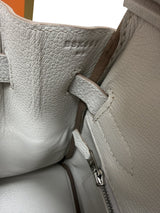 Hermès Birkin 30 Gris Pale Togo Leather With Palladium Hardware Handbag