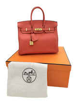 Hermes Birkin 25 Rouge Pivoine Togo Leather With Gold Hardware Handbag