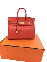 Hermes Birkin 25 Rouge Pivoine Togo Leather With Gold Hardware Handbag