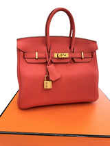 Hermes Birkin 25 Rouge Pivoine Togo Leather With Gold Hardware Handbag