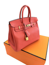 Hermes Birkin 25 Rouge Pivoine Togo Leather With Gold Hardware Handbag