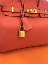 Hermes Birkin 25 Rouge Pivoine Togo Leather With Gold Hardware Handbag