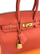Hermes Birkin 25 Rouge Pivoine Togo Leather With Gold Hardware Handbag