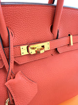 Hermes Birkin 25 Rouge Pivoine Togo Leather With Gold Hardware Handbag