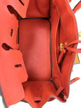 Hermes Birkin 25 Rouge Pivoine Togo Leather With Gold Hardware Handbag