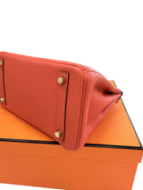 Hermes Birkin 25 Rouge Pivoine Togo Leather With Gold Hardware Handbag