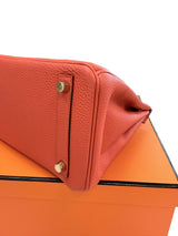 Hermes Birkin 25 Rouge Pivoine Togo Leather With Gold Hardware Handbag