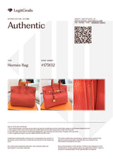 Hermes Birkin 25 Rouge Pivoine Togo Leather With Gold Hardware Handbag