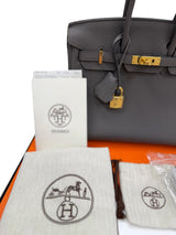 Hermes Birkin 25 Etain Togo Leather With Gold Hardware Handbag