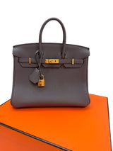 Hermes Birkin 25 Etain Togo Leather With Gold Hardware Handbag