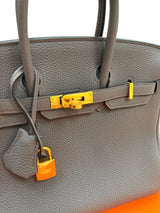 Hermes Birkin 25 Etain Togo Leather With Gold Hardware Handbag