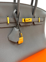 Hermes Birkin 25 Etain Togo Leather With Gold Hardware Handbag