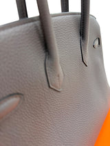 Hermes Birkin 25 Etain Togo Leather With Gold Hardware Handbag