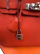 Hermès Birkin 30 Capucine Togo Leather Palladium Hardware Handbag