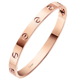 Cartier Love Bracelet Classic Model Two Functional Screws 18K Rose Gold Bangle