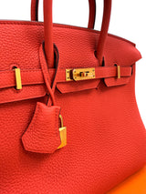Hermes Birkin 25 Orange Poppy Togo Leather Turn-Lock Closure With Gold Hardware