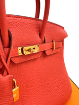 Hermes Birkin 25 Orange Poppy Togo Leather Turn-Lock Closure With Gold Hardware