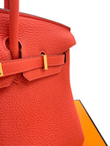 Hermes Birkin 25 Orange Poppy Togo Leather Turn-Lock Closure With Gold Hardware