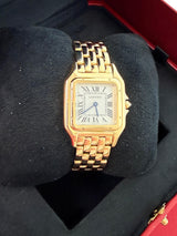 Cartier Panthère de Cartier 18K Yellow Gold Silvered Dial Watch WGPN0058