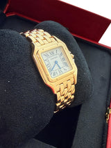 Cartier Panthère de Cartier 18K Yellow Gold Silvered Dial Watch WGPN0058