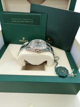 Rolex Datejust 41mm Sundust Dial Two-Tone Everose Gold Fluted Bezel Watch 126331