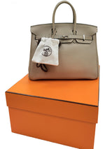 Hermès Birkin 25 Gris Tourterelle Togo Leather With Silver Hardware Handbag