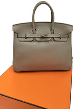 Hermès Birkin 25 Gris Tourterelle Togo Leather With Silver Hardware Handbag