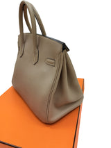 Hermès Birkin 25 Gris Tourterelle Togo Leather With Silver Hardware Handbag