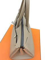 Hermès Birkin 25 Gris Tourterelle Togo Leather With Silver Hardware Handbag