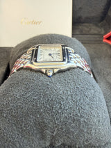 Cartier Mini Panthère De Cartier Watch Silver Dial Steel Ladies Watch WSPN0012