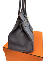 Hermes Birkin 35 Etain Togo Leather With Gold Hardware Handbag