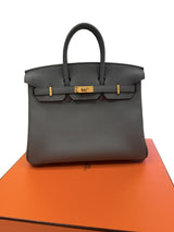 Hermès Birkin 25 Vert Amande Togo Leather With Gold Hardware Handbag
