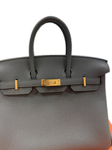 Hermès Birkin 25 Vert Amande Togo Leather With Gold Hardware Handbag