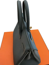 Hermès Birkin 25 Vert Amande Togo Leather With Gold Hardware Handbag