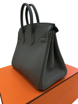 Hermès Birkin 25 Vert Amande Togo Leather With Gold Hardware Handbag