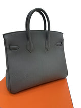 Hermès Birkin 25 Vert Amande Togo Leather With Gold Hardware Handbag