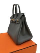 Hermès Birkin 25 Vert Amande Togo Leather With Gold Hardware Handbag