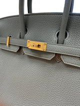 Hermès Birkin 25 Vert Amande Togo Leather With Gold Hardware Handbag