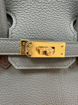 Hermès Birkin 25 Vert Amande Togo Leather With Gold Hardware Handbag
