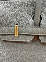 Hermès Birkin 25 Vert Amande Togo Leather With Gold Hardware Handbag
